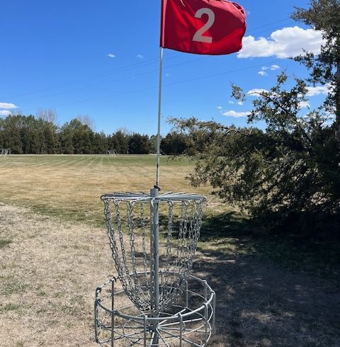Frisbee Golf