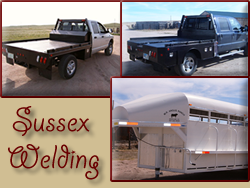 Sussex Welding