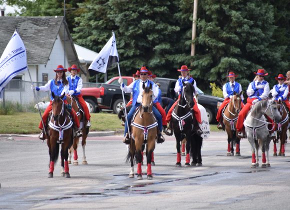 LaGrange Mini Fair
